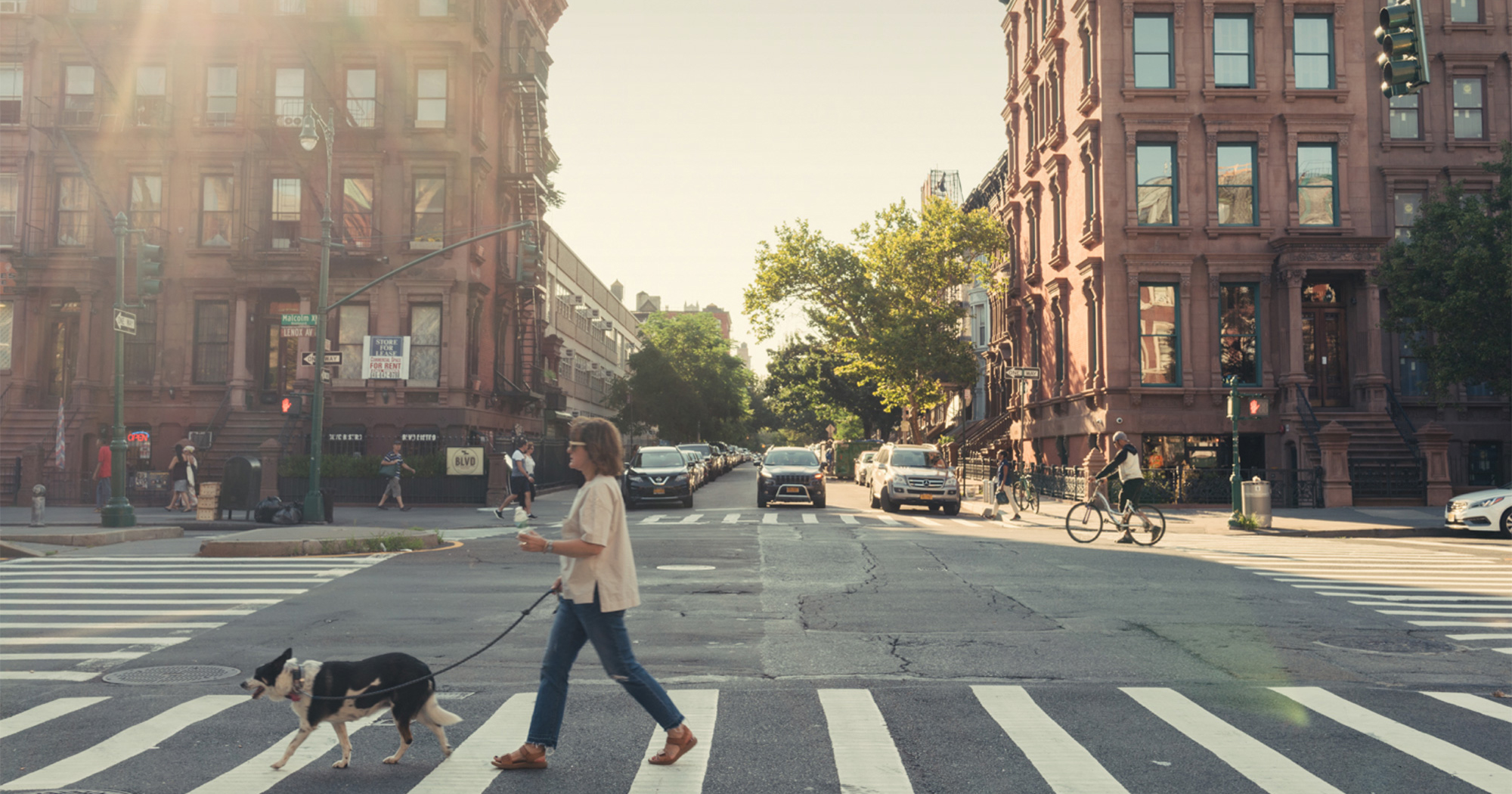 eleven-hancock-harlem-thumb